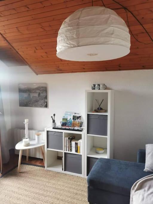 Duplex Cocooning Avec Vue Lac Et Montagnes 塞威恩 外观 照片