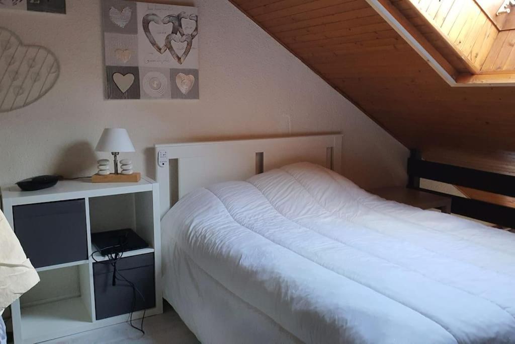 Duplex Cocooning Avec Vue Lac Et Montagnes 塞威恩 外观 照片
